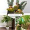 Fake Green Moss for Potted Plants, 4OZ Artificial Moss for DIY Crafts, Faux Moss for Table Centerpieces Fairy Garden Decor